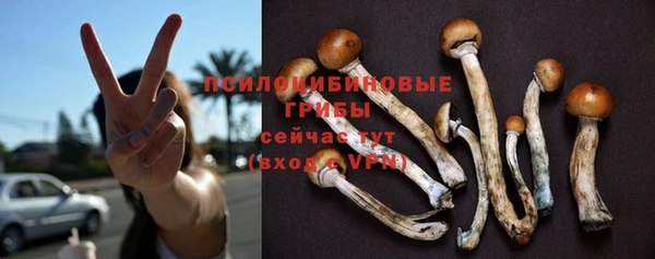 не бодяженный Алексин