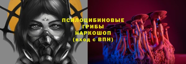 a pvp Алзамай