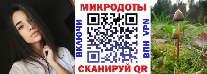 где купить наркоту  Чебоксары  Галлюциногенные грибы мицелий 