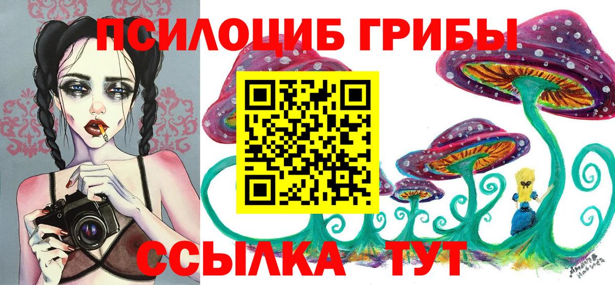 Галлюциногенные грибы GOLDEN TEACHER Чебоксары